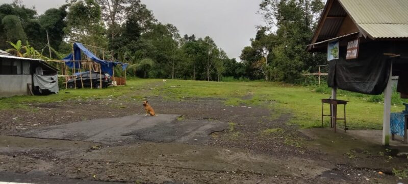 panitia-usaba-pura-dalem-puri-manfaatkan-lahan-warga