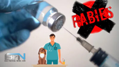 sebulan-9-kasus-gigitan-anjing-rabies
