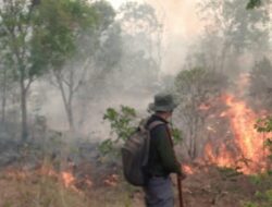 Sebulan, 1.048 Hektare Hutan di Lereng Gunung Agung Terbakar 