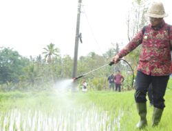 Serahkan Pupuk Hayati Cair, Pj. Gubernur Bali S.M Mahendra Jaya Dukung Sistem Pertanian Organik di Bali