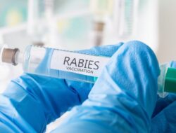 Stok Vaksin Anti Rabies (VAR) di Karangasem masih Kosong