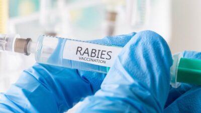 Stok Vaksin Anti Rabies (VAR) di Karangasem masih Kosong