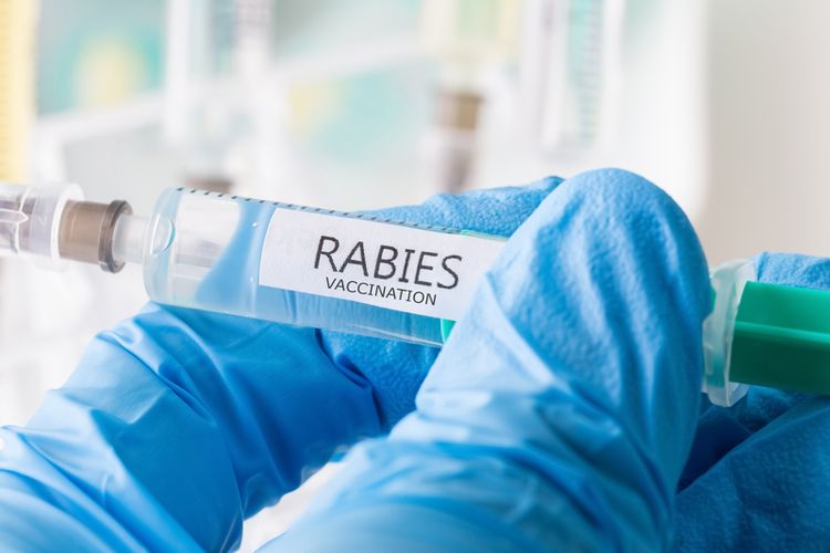 stok-vaksin-anti-rabies-var-di-karangasem-masih-kosong