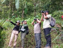 Konservasi Alam Pedawa Terangkat Melalui Bali Wildlife Camp