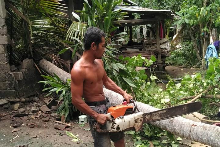 pohon-tumbang-kepung-karangasem