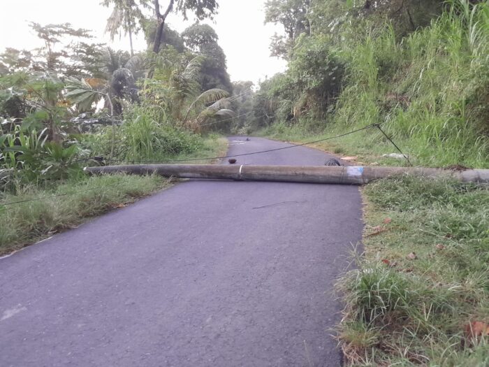 Pohon dan Tiang Listrik Tumbang, Akses Jalan Menuju Pura Andakasa Tersendat