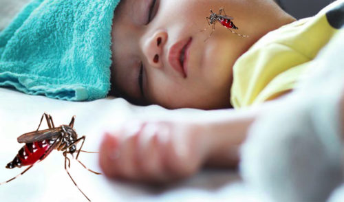 dbd-renggut-nyawa-bocah-8-tahun-di-karangasem