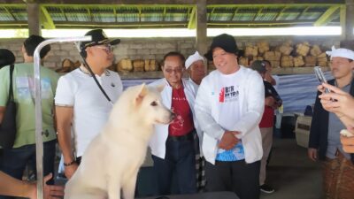Serangkaian HUT Kota Bangli ke 820, Ada Kontes Anjing Kintamani Bali 2024