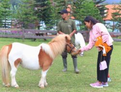 Bali Farm House, Destinasi Wisata Baru di Buleleng Komitmen Dukung PAD dan Serap Tenaga Lokal