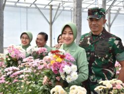 Pangdam IX/Udayana Kunjungi Green House Kodim 1609/ Buleleng, Kembangkan Bunga Krisan