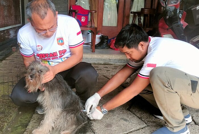 distan-karangasem-gencarkan-vaksinasi-anjing