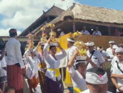 Diawali Tahun 1962, Tahun Ini Ngaben Massal di Desa Adat Selumbung Diikuti Ratusan Sawa
