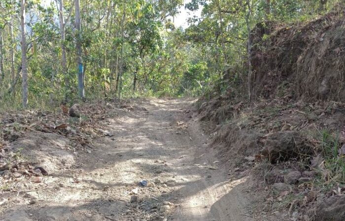 miris-banyak-jalan-kabupaten-di-karangasem-luput-dari-perhatian-pemerintah