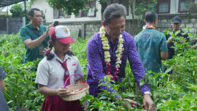 diperpa-badung-panen-cabai-sibertani-di-sd-no-4-benoa-dan-kenalkan-pertanian-sejak-dini-kepada-siswa