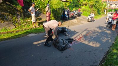 Gunakan HP Saat Berkendara, Pengendara Motor Tewas Tertabrak Truk di Sidemen