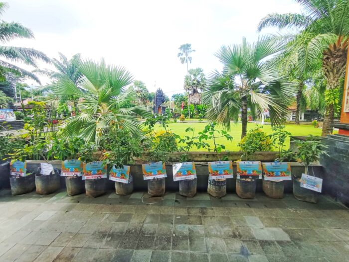inovasi-hijau-gus-par-guru-pandu-hut-kota-amlapura-ke-385-jadi-gerakan-ramah-lingkungan