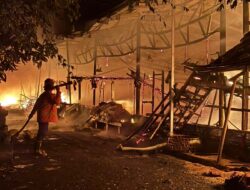 Kandang Ayam di Bungaya Terbakar, Kerugian Capai Rp2,5 Miliar