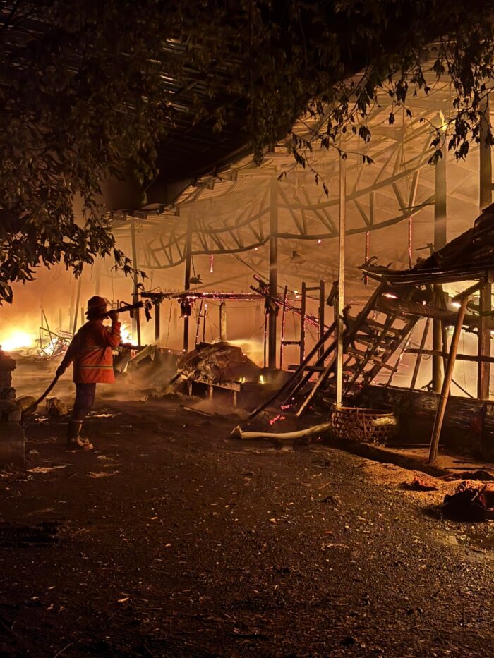 kandang-ayam-di-bungaya-terbakar-kerugian-capai-rp25-miliar