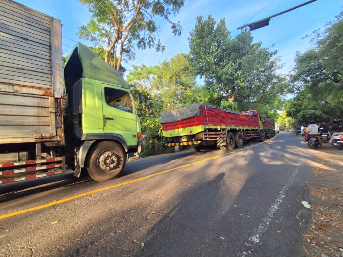 pohon-tumbang-timpa-truk-kontainer-akses-jalan-amlapura-singaraja-tersendat