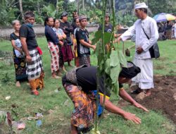 Sejak Kecil Merantau, Korban Tajen di Denpasar Dimakamkan di Karangasem