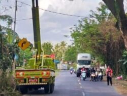 Tingkatkan Keselamatan Pengguna Jalan, DLH Karangasem Pangkas Pohon Perindang