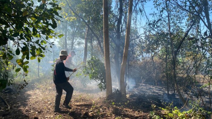 damkar-kerahkan-4-armada-karangasem-atasi-kebakaran-lahan-kering