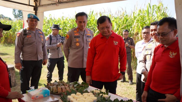 pemkab-buleleng-dan-polres-buleleng-panen-serta-launching-jagung-goak-poleng