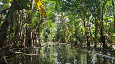 banjir-susulan-di-dusun-tengading-warga-kembali-mengungsi