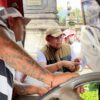 Sebanyak 363 Truk Terdata, Pengawasan Tambang di Karangasem Berjalan Efektif
