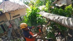 diterjang-angin-kencang-rumah-warga-jungutan-hancur-tertimpa-pohon-kelapa