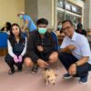 Disperpa Badung Gelar Layanan Sterilisasi dan Vaksinasi bagi HPR