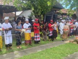 Mepepada, Ritual Pembersihan Hewan Kurban di Desa Adat Buleleng