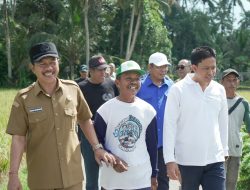 Jaga Stabilitas Harga Jelang Idul Adha. Galungan dan Kuningan TPID Badung Tinjau Sejumlah Sentra Pangan