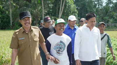 jaga-stabilitas-harga-jelang-idul-adha-galungan-dan-kuningan-tpid-badung-tinjau-sejumlah-sentra-pangan