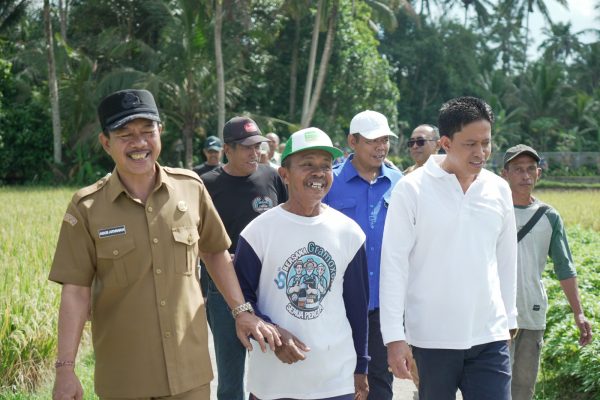 jaga-stabilitas-harga-jelang-idul-adha-galungan-dan-kuningan-tpid-badung-tinjau-sejumlah-sentra-pangan