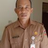 Misteri Kematian Babi Hantui Karangasem, Puluhan Ternak Mati Mendadak di Empat Desa
