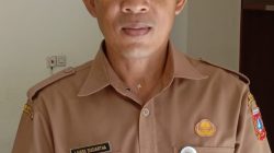Misteri Kematian Babi Hantui Karangasem, Puluhan Ternak Mati Mendadak di Empat Desa