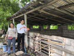 Maling Sapi Jelang Idul Adha Dibekuk