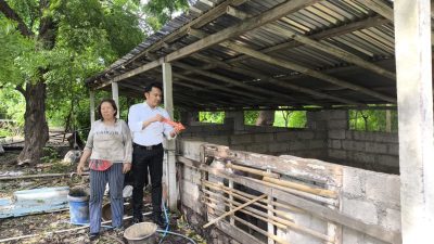 Maling Sapi Jelang Idul Adha Dibekuk