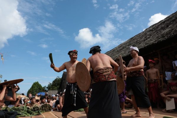 wabup-karangasem-pandu-prapanca-ngayah-megeret-pandan-di-tenganan-pegringsingan