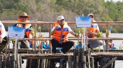 gubernur-koster-dorong-gerakan-tanam-mangrove-setiap-bulan-perkuat-ekosistem-pesisir-bali