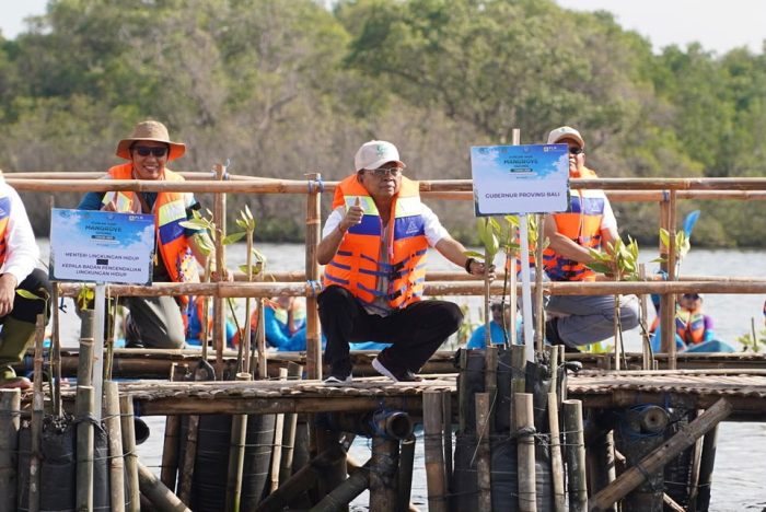 gubernur-koster-dorong-gerakan-tanam-mangrove-setiap-bulan-perkuat-ekosistem-pesisir-bali