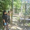 Modul BTS Dicuri, Polisi Sisir CCTV dan Periksa Saksi