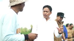 Diperpa Badung Segera Tanam Cabai di Lahan 42 Hektare, Target Produksi 420 Ton