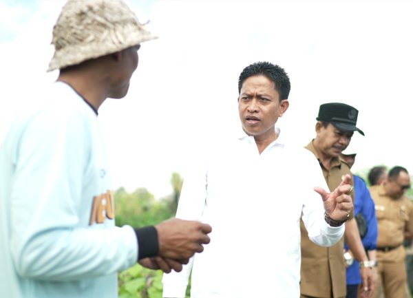 diperpa-badung-segera-tanam-cabai-di-lahan-42-hektare-target-produksi-420-ton