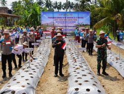 Gubernur Koster Dukung Gerakan Serentak Penanaman Bawang Putih untuk Perkuat Swasembada Pangan