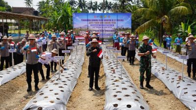 gubernur-koster-dukung-gerakan-serentak-penanaman-bawang-putih-untuk-perkuat-swasembada-pangan