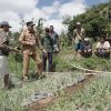 Gus Par Buktikan Komitmen, Air Mengalir dan Petani Subak Samuh Panen di Musim Kemarau