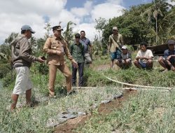 Gus Par Buktikan Komitmen, Air Mengalir dan Petani Subak Samuh Panen di Musim Kemarau