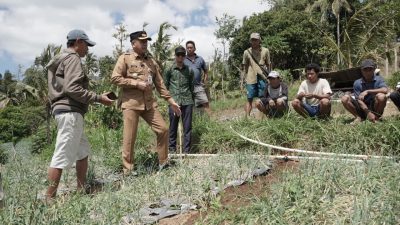 Gus Par Buktikan Komitmen, Air Mengalir dan Petani Subak Samuh Panen di Musim Kemarau